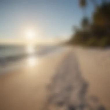 Relaxing beach environment in Sarasota, Florida.