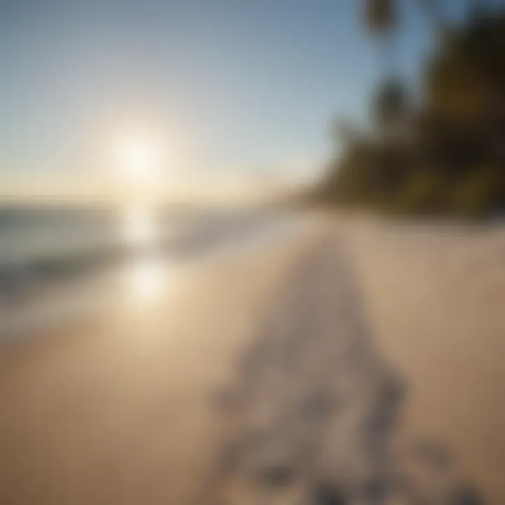 Relaxing beach environment in Sarasota, Florida.