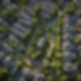 Aerial view of a vibrant Dallas neighborhood showcasing lush green parks and elegant homes