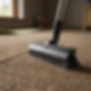 Eco-Friendly Tools for Rug Maintenance Essential eco-friendly cleaning tools for rugs