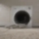 Dryer vent with lint buildup