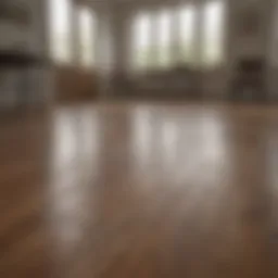Spotless hardwood floor reflecting light