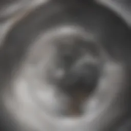 Detailed view of a sink drain anatomy