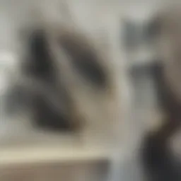 Illustration depicting various types of residential rent agreements