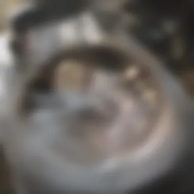 Plumber Resolving a Hair Clog Issue Professional plumber addressing a clogged sink